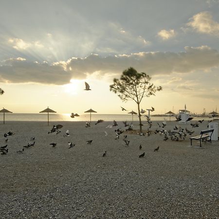 Palmyra Beach Hotel Athen Exterior foto