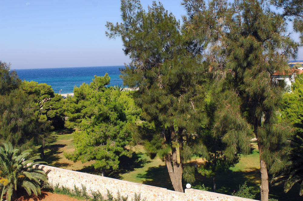 Palmyra Beach Hotel Athen Exterior foto